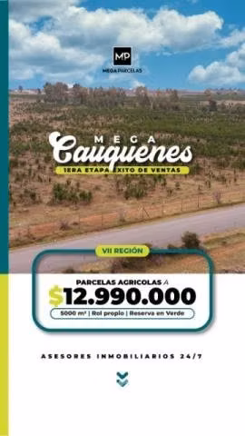 Parcela en Cauquenes