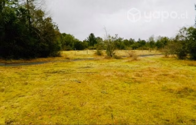 Terreno pasos del rio Voipir - Imagen 3