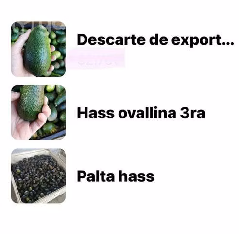 Vendó palta huevo mermelada y aceitunas