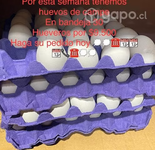 Vendó palta huevo mermelada y aceitunas