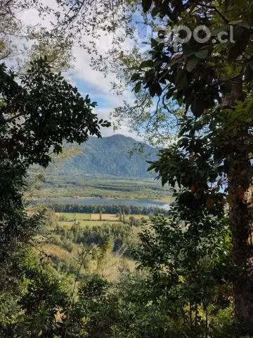 Se vende parcela en lago ranco