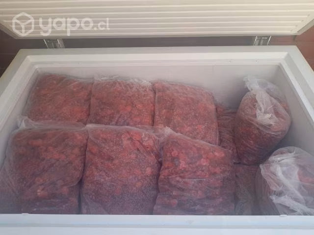 Frambuesas y Arandanos Congelados
