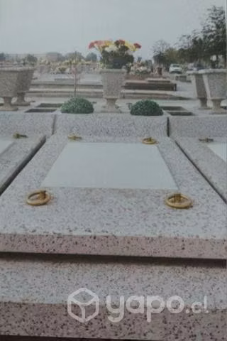 Boveda familiar perpetúa revestida