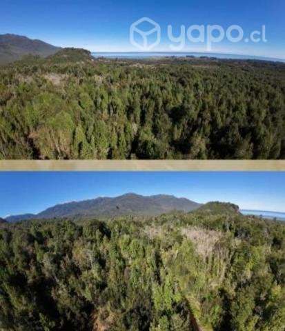 Parcela - Imagen 2