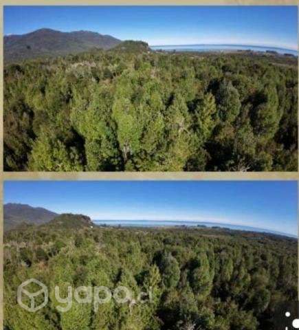Parcela - Imagen 4