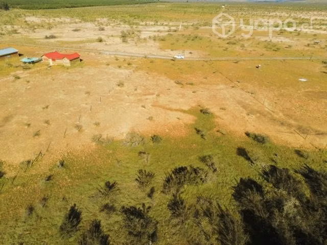 Terreno 5.000 mts2 San Javier Región del Maule - Imagen 5