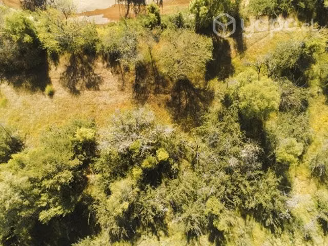 Terreno 5.000 mts2 San Javier Región del Maule - Imagen 7