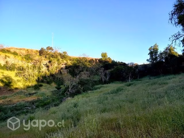 Parcela litueche en venta - Imagen 3