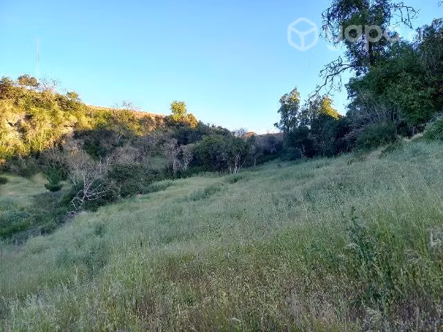 Parcela litueche en venta - Imagen 2