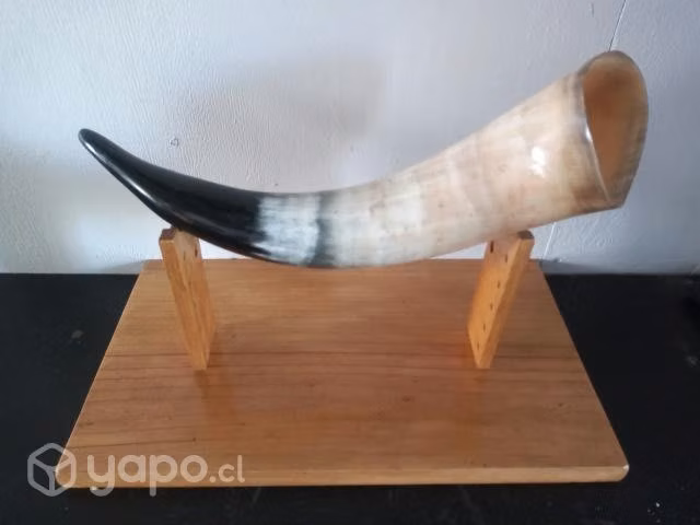 Cacho de toro