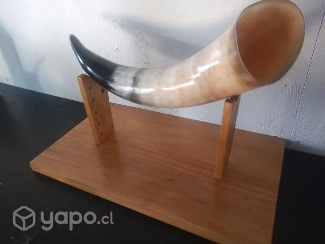 Cacho de toro - Imagen 3