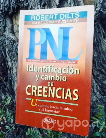 PNL, Identificación y cambio de creencias