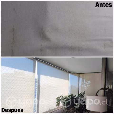Roller lavado y mantenciones - Imagen 3
