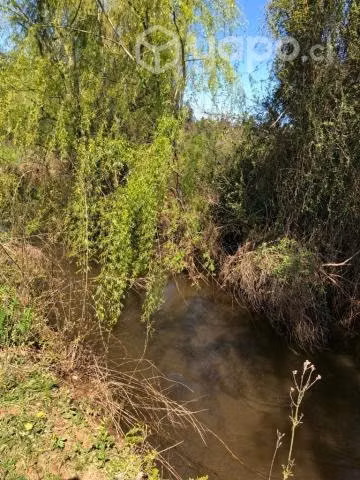 Vendo parcela en El Carmen