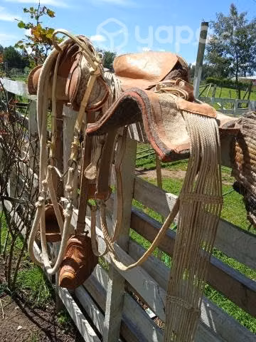 Montura completa con riendas cabezal riendero