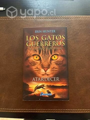 Los gatos guerreros Atardecer"