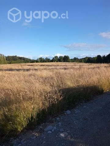 Terreno 1500 m2 - Imagen 4