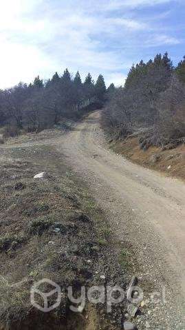 2 hectareas - Imagen 9
