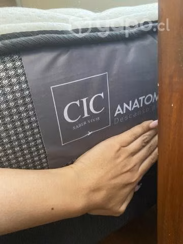 Cama 1.5 plazas nueva