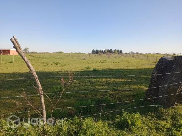 Parcela San Rafael Pangue abajo