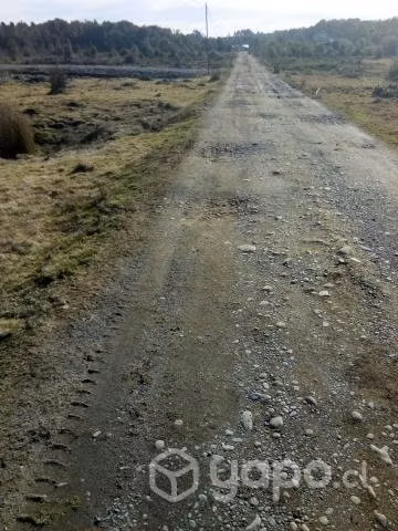 Se vende casa en campo de una hectárea y media