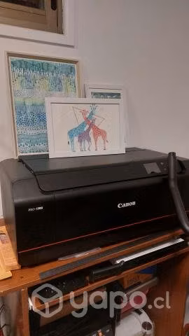 Impresora Canon Pro-1000 muy poco uso