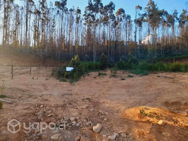 Terreno de 500metros en alto de la parra