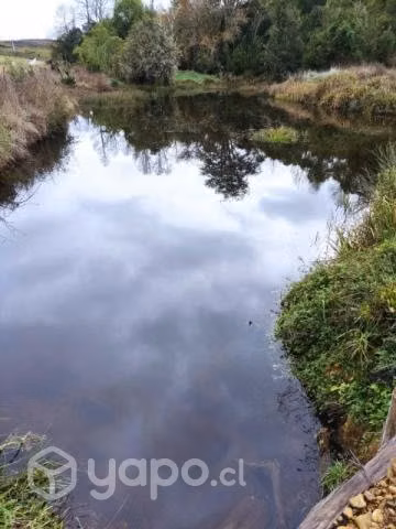 Parcela con estero y laguna