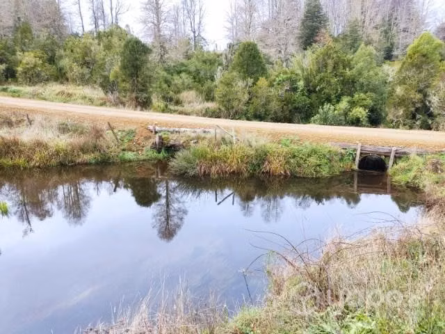 Parcela con estero y laguna - Imagen 6