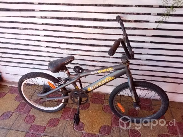 Bicicleta bianchi