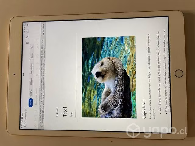 IPad 7 generación como nueva