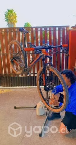 Orbea Alma M25