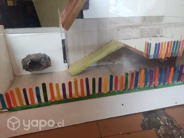 Casa para hamster
