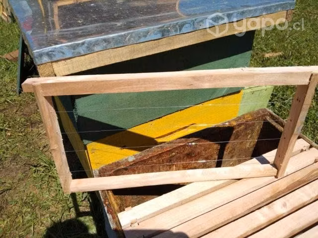 Marcos para colmena de abejas