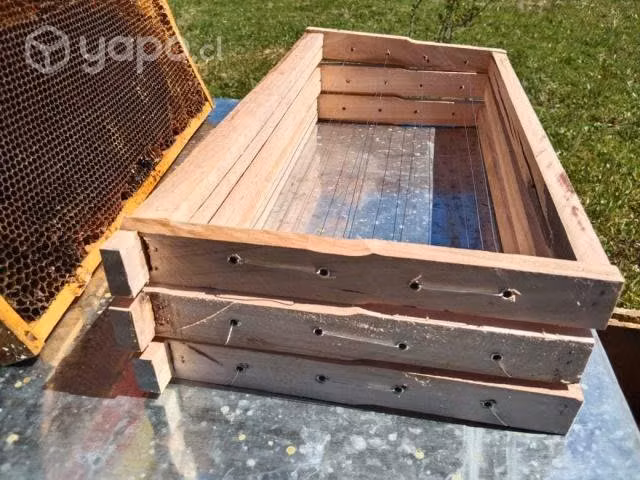 Marcos para colmena de abejas
