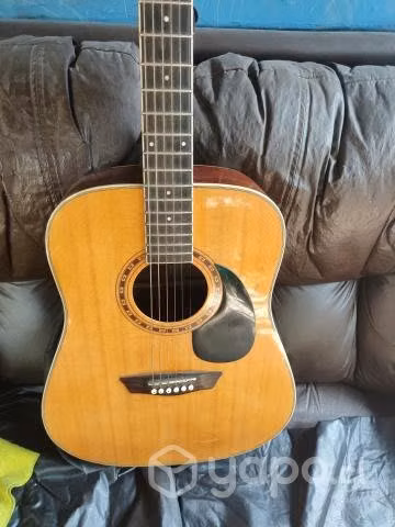 Guitarra Washburn folk