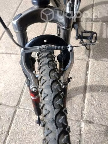 Bianchi dsx 26