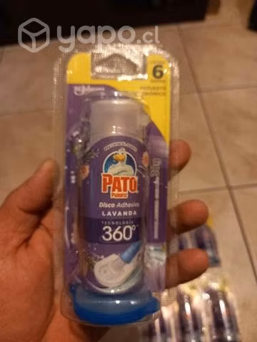 Pato purific