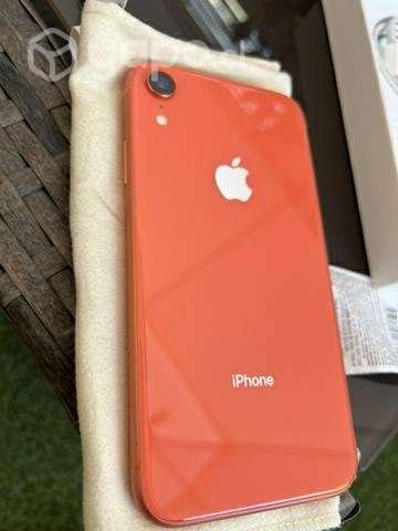 Celular Iphone XR - Imagen 4