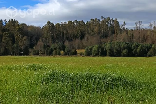 Parcelas en el sur de Chile. Novena Región. 5000m2