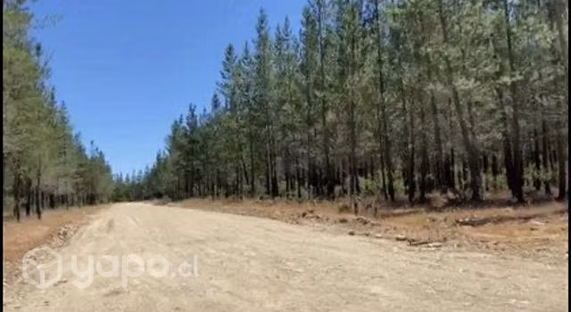 Parcela en Cauquenes