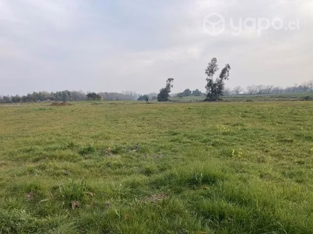 Parcela 5000 mts2 - Imagen 2