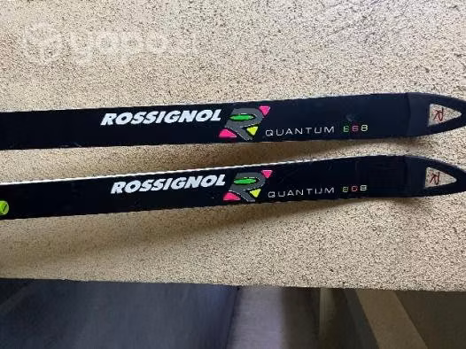 Ski Rosignol Slalom Competition