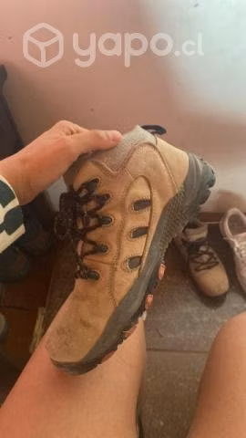 Bototos