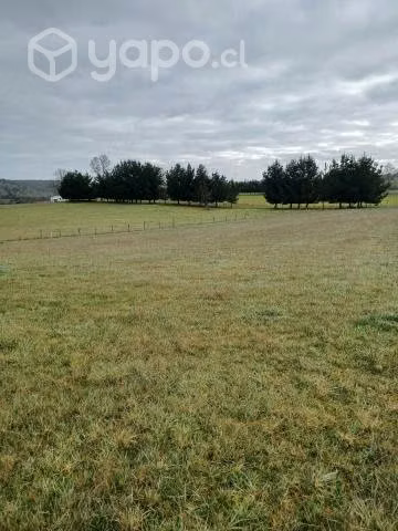 4 hct en Maipue- Concordia, Purranque
