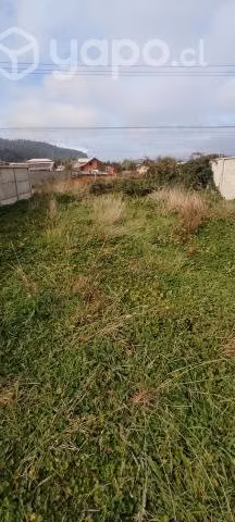 Vendo sitio - Imagen 3