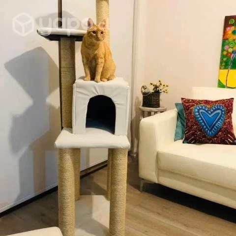 Mueble gato