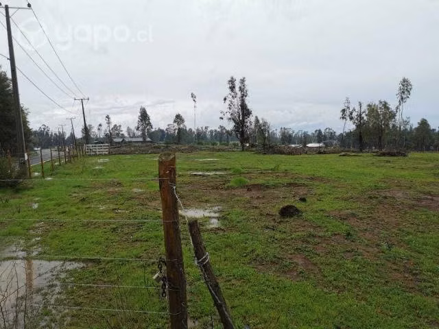 Parcela 5.000 m2 - Imagen 2