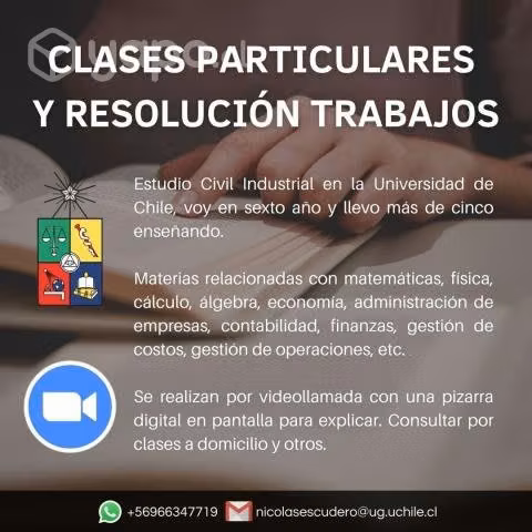 Clases y Trabajos - Profesor Particular U de Chile