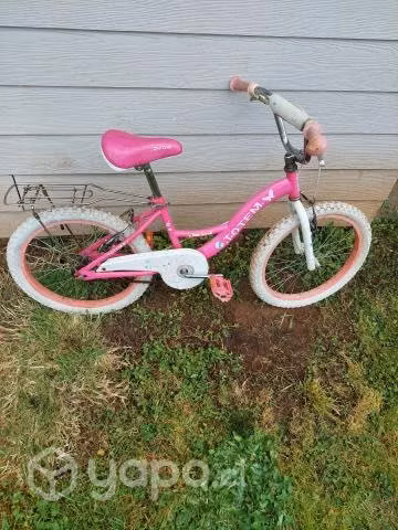 Bicicleta Niña aro 20
